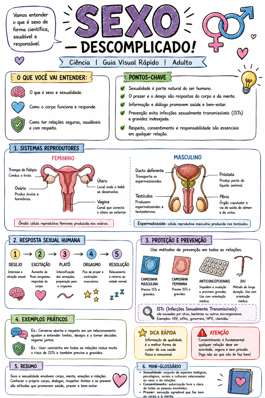 Guia visual de educação sexual